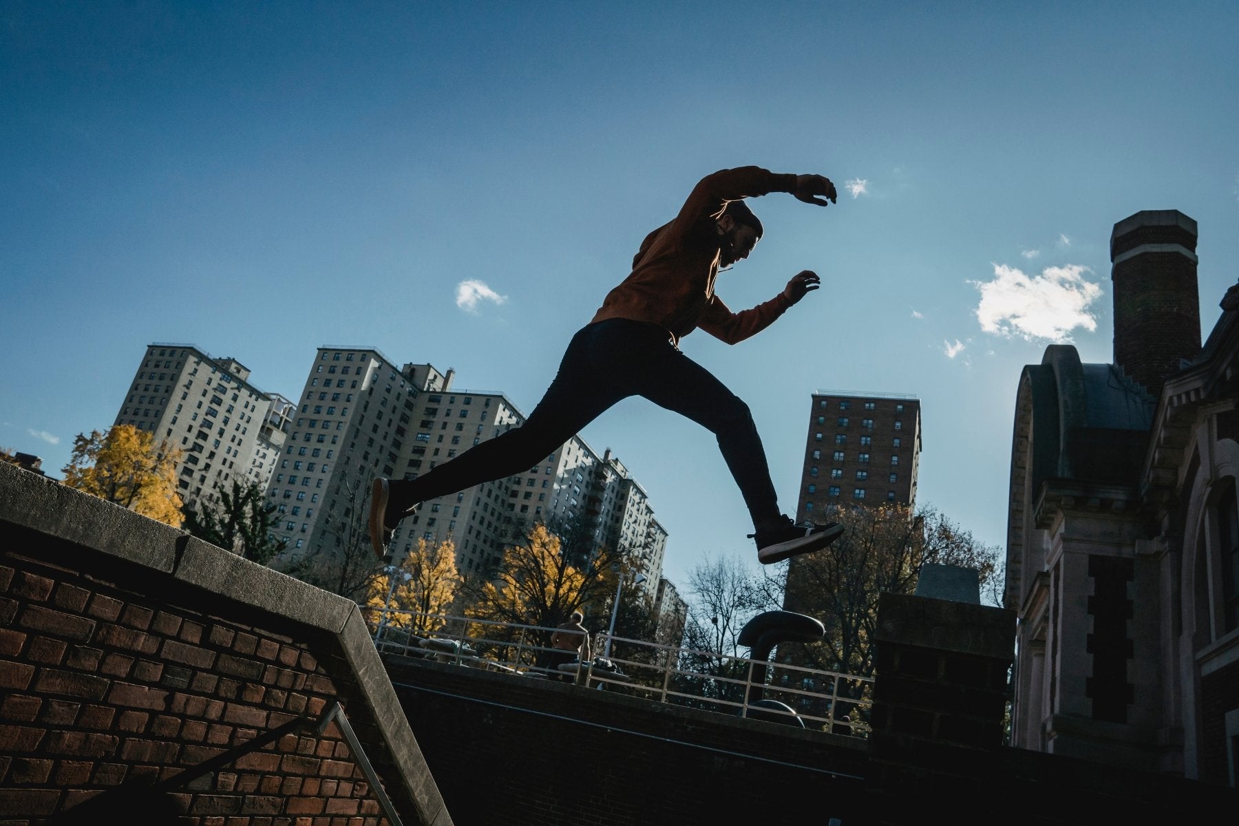 Boost Your Performance to the Next Level: Moringa Powder Supercharges Your Body's Energy Production and Nutrient Absorption - Root Herbal